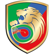 Miedź Legnica logo